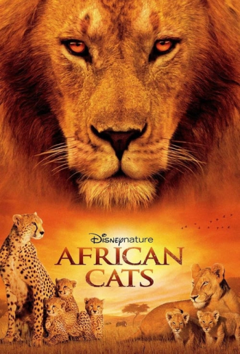 African Cats